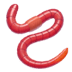 :worm: :worm: