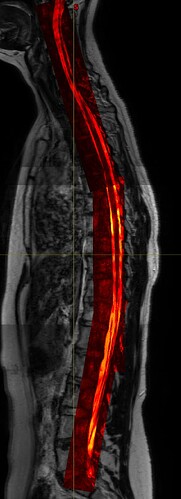 Screenshot 2026-01-29 at 23.31.26