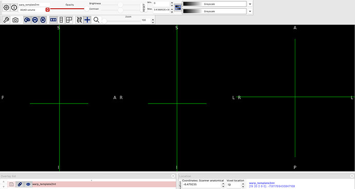 warp_template2mt file blank