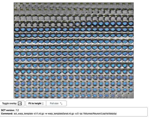 sct_warp_template - PSIR